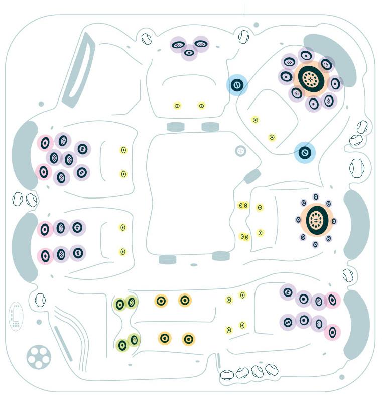 Placement des différents jets dans un spa