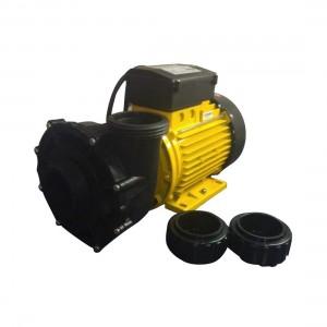 pompe 2 vitesses 2hp